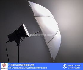 石楼镇画册设计与凌志营销策划 如何通过互联网数据服务提升品牌形象